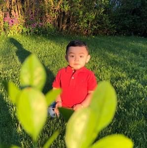 Meet your Posher, Delmer